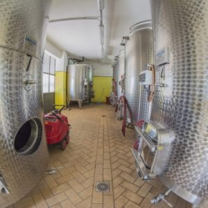 DSC_1217-Copy-1024x683-640x480