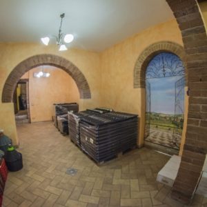 DSC_1221-Copy-1024x683-640x480