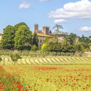 IMG_5812-Copy-1024x683-640x480