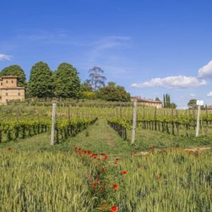 IMG_5838-Copy-1024x683-640x480